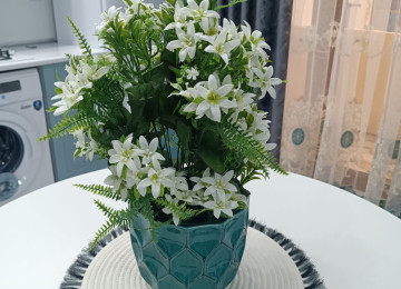 Müalicəvi effektli Duz Gölünün qarşısında ekoloji təmiz,