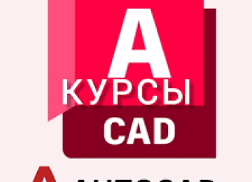 AutoCAD с нуля до PRO AutoCAD — популярная программа для