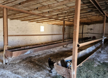 TECILI SAHIBINDEN FARMA TESERRUFATİ SATILIR. Deyerinden cox