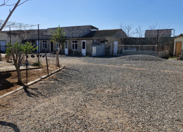 TECILI SAHIBINDEN FARMA TESERRUFATİ SATILIR. Deyerinden cox