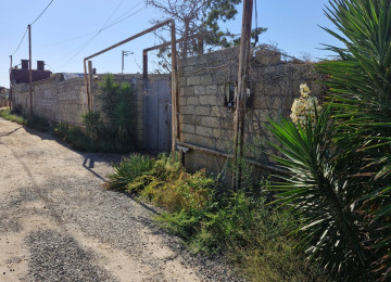 TECILI SAHIBINDEN FARMA TESERRUFATİ SATILIR. Deyerinden cox