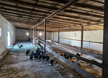 TECILI SAHIBINDEN FARMA TESERRUFATİ SATILIR. Deyerinden cox