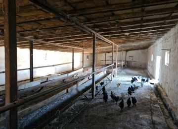 TECILI SAHIBINDEN FARMA TESERRUFATİ SATILIR. Deyerinden cox