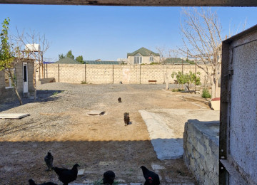 TECILI SAHIBINDEN FARMA TESERRUFATİ SATILIR. Deyerinden cox