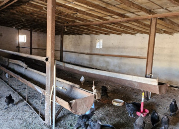 TECILI SAHIBINDEN FARMA TESERRUFATİ SATILIR. Deyerinden cox