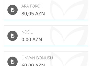 Evden caliwaraq qazanc əldə etmək mümkündür. Öz biznesinizi