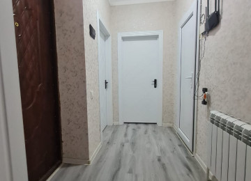 Masazır 6 nömrəli məktəbin tam yanında 569nömrəli marşurut