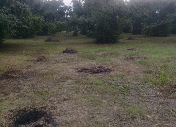 heyatyani tikliler ucun nezerde tutlmiw erazdedir qaz su