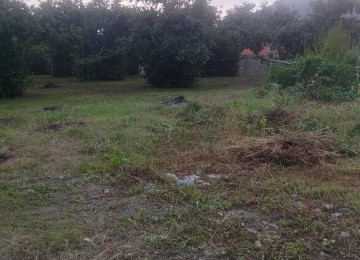 heyatyani tikliler ucun nezerde tutlmiw erazdedir qaz su