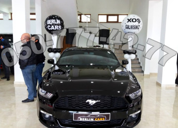 Magaza shar dizayn. Grilanda sharlar. Magaza onunde