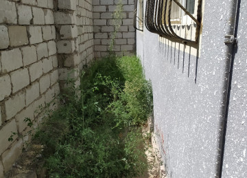 Ev kirayə verilir uzun müddətlik. Xaiş olunur 2-3 aylıq