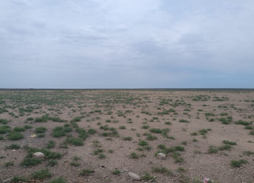 Qala-Zire magistral youndan 500 metr iceride 7 hektar