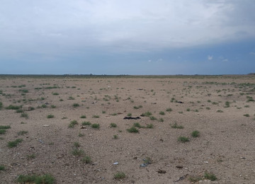 Qala-Zire magistral youndan 500 metr iceride 7 hektar