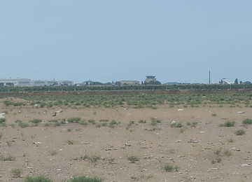 Qala-Zire magistral youndan 500 metr iceride 7 hektar