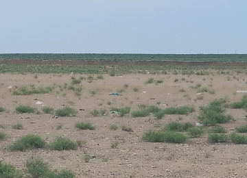 Qala-Zire magistral youndan 500 metr iceride 7 hektar