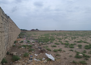 Qala-Zire magistral youndan 500 metr iceride 7 hektar