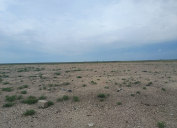 Qala-Zire magistral youndan 500 metr iceride 7 hektar