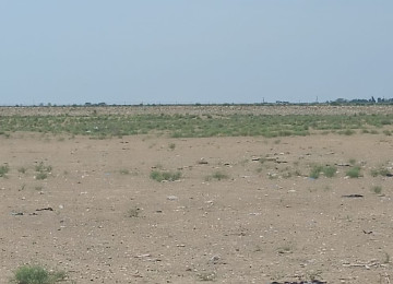 Qala-Zire magistral youndan 500 metr iceride 7 hektar