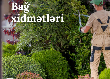 Hər Fəsildə Yaşıl Həyat 🌿 - Dekorativ Ağacların Satışı