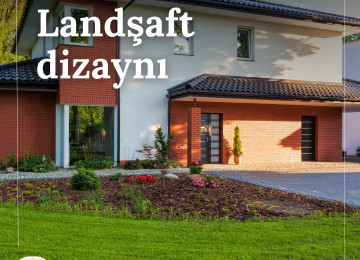 Hər Fəsildə Yaşıl Həyat 🌿 - Dekorativ Ağacların Satışı