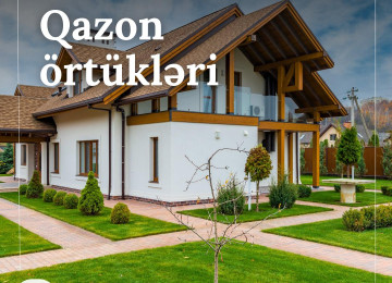 Hər Fəsildə Yaşıl Həyat 🌿 - Dekorativ Ağacların Satışı