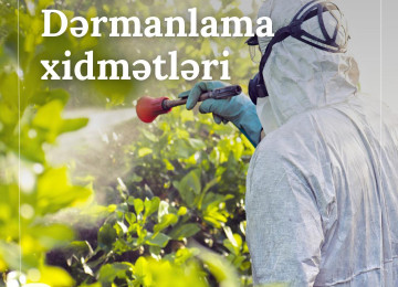 Hər Fəsildə Yaşıl Həyat 🌿 - Dekorativ Ağacların Satışı