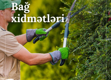 Hər Fəsildə Yaşıl Həyat 🌿 - Dekorativ Ağacların Satışı