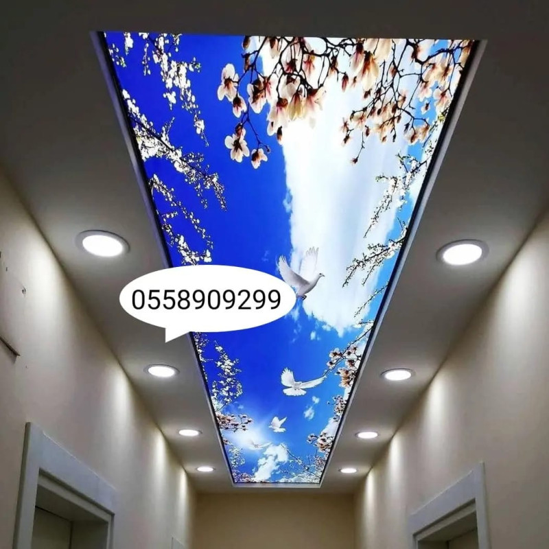 Dartma tavanlar 3D 5D 7D dartma tavan topdan satış mərkəzi