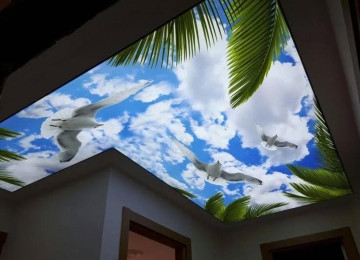 Dartma tavanlar 3D 5D 7D dartma tavan topdan satış mərkəzi