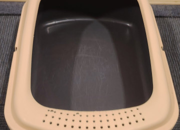 Pisik saxlamaq ucun komplekt Yumsaq kamfortlu yuva Tualet