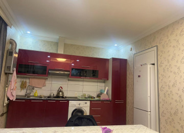 Zaqatala rayonu şəhərin mərkəzində balakən qapı adlanan