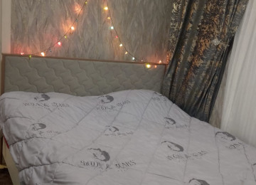 Əmlak əşyalı satılır. Görünən bütün əşyalar qalır