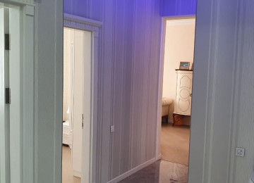 Qurtqaşinli kücəsində olan Nəriman Nərimanov heykəlinin