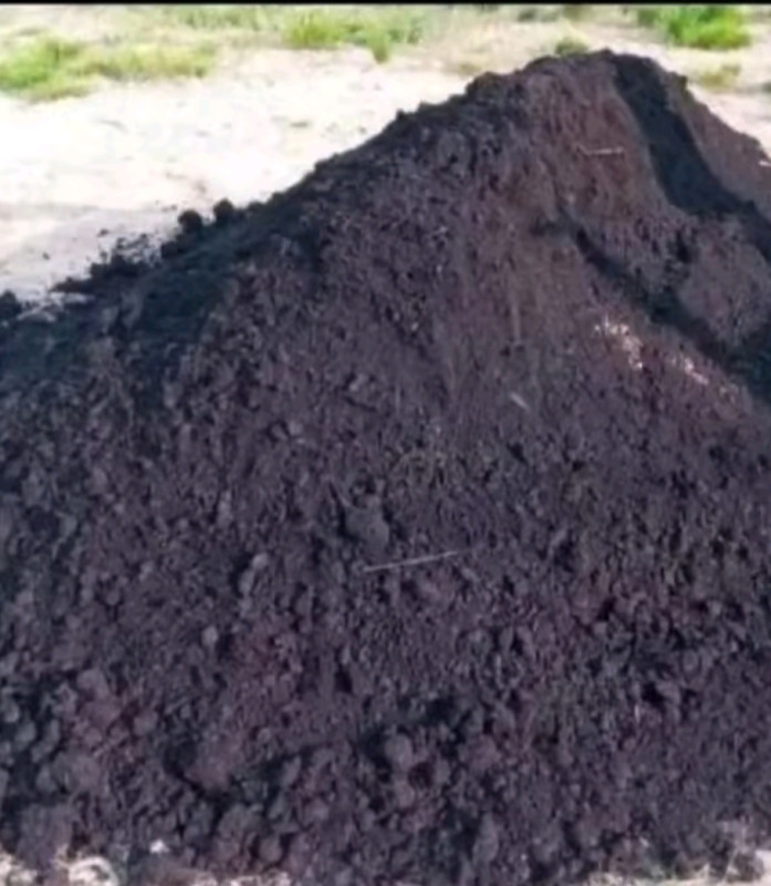 Qara torpaq Şamaxı və ismayli Qara torpaq ve peyin Şamaxı dağ kəndlərindən əl ilə yığılır