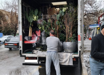 Yuk dasinma. Yuk dasima. Yük daşıma. Bag evlerinin