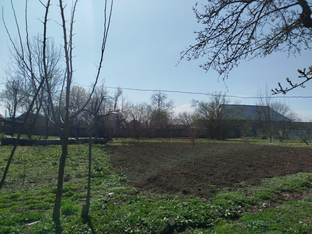 Satış Salam İsmayıllı rayonunda torpağ sahəsi satıram şəxsi özümə