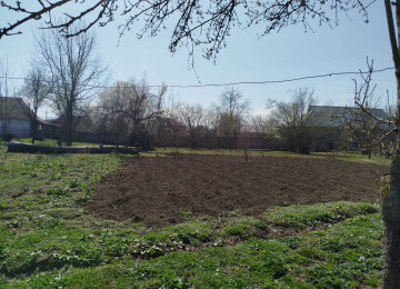 Satış Salam İsmayıllı rayonunda torpağ sahəsi satıram şəxsi özümə