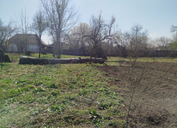 Satış Salam İsmayıllı rayonunda torpağ sahəsi satıram şəxsi özümə