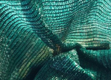 Torun Rulonu - 200m² (60% gün keçirməsi) - 200 azn Torun