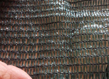 Torun Rulonu - 200m² (60% gün keçirməsi) - 200 azn Torun