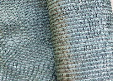 Torun Rulonu - 200m² (60% gün keçirməsi) - 200 azn Torun