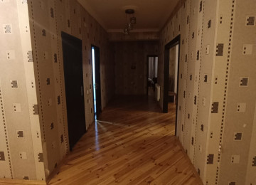 Xlrdalan kurqa yaxln Ev göründüyü kimidir hər bir şəraiti