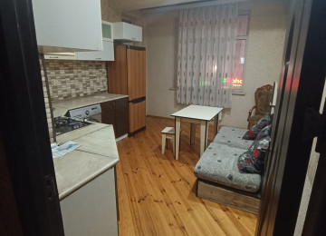 Xlrdalan kurqa yaxln Ev göründüyü kimidir hər bir şəraiti