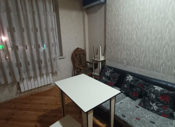 Xlrdalan kurqa yaxln Ev göründüyü kimidir hər bir şəraiti