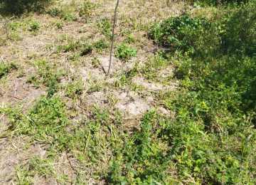 Salam. Azadlıq pr,metro st, 11 km,mesafede Digah