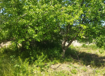 Salam. Azadlıq pr,metro st, 11 km,mesafede Digah