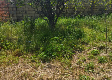 Salam. Azadlıq pr,metro st, 11 km,mesafede Digah