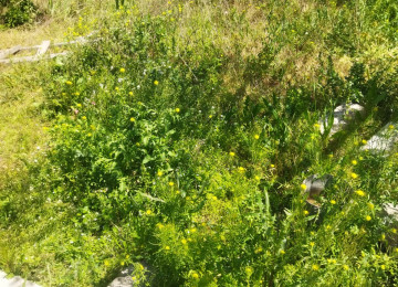 Salam. Azadlıq pr,metro st, 11 km,mesafede Digah