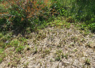 Salam. Azadlıq pr,metro st, 11 km,mesafede Digah