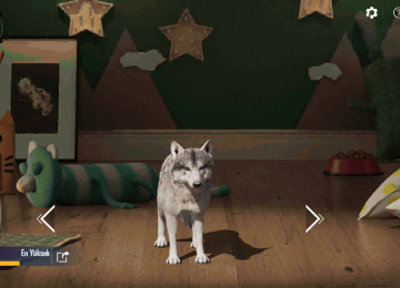 Salam Hesab Şexsi Hesabımdı Alverçi Deyiləm Pul Lazımdı